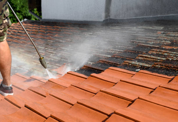 Best Residential Pressure Washing Services  in Albemarle, NC
