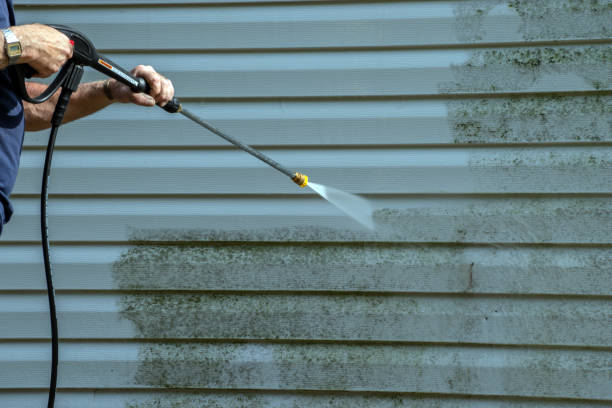 Best Local Pressure Washing Services  in Albemarle, NC